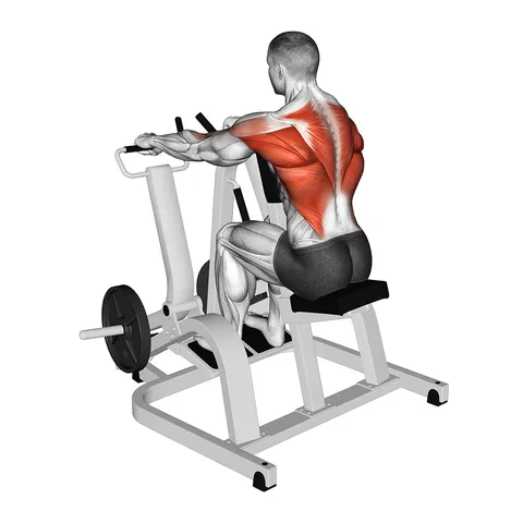 Lever Pronated Grip Seated Row