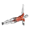 Side Plank Twist Arm Delt Raise