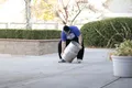 Chargement de fût