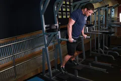 Dips - Chest Version
