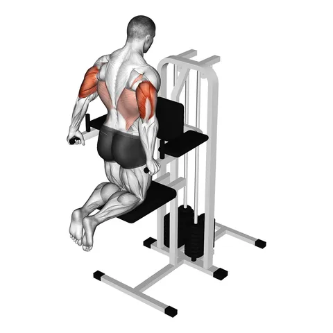 Dips aux triceps assistés (à genoux)