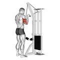 Extension triceps poulie haute