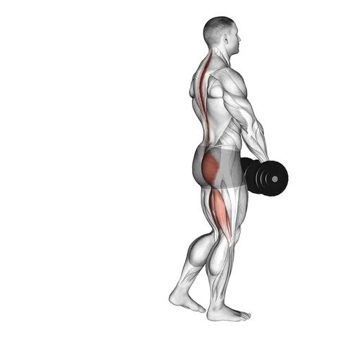Dumbbell Single Leg Deadlift