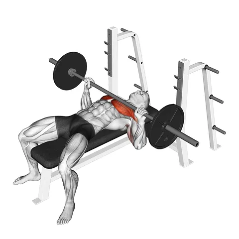 Barbell Bench Press - Medium Grip