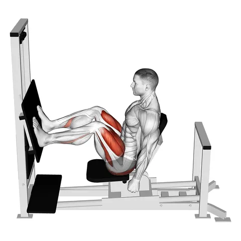 Horizontal Leg Press