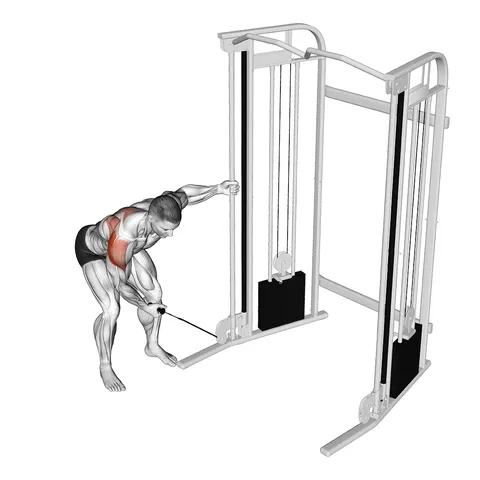 Cable One Arm Reverse Fly