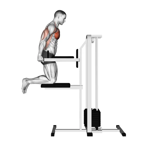 Assisted Chest Dip (kneeling)