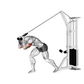 Cable Rope High Pulley Overhead Triceps Extension