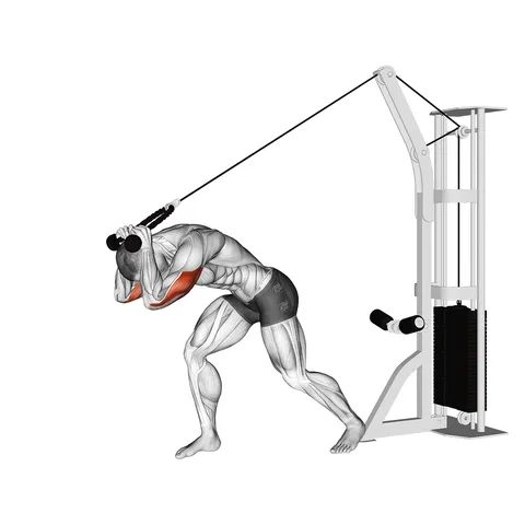 Cable Rope High Pulley Overhead Triceps Extension