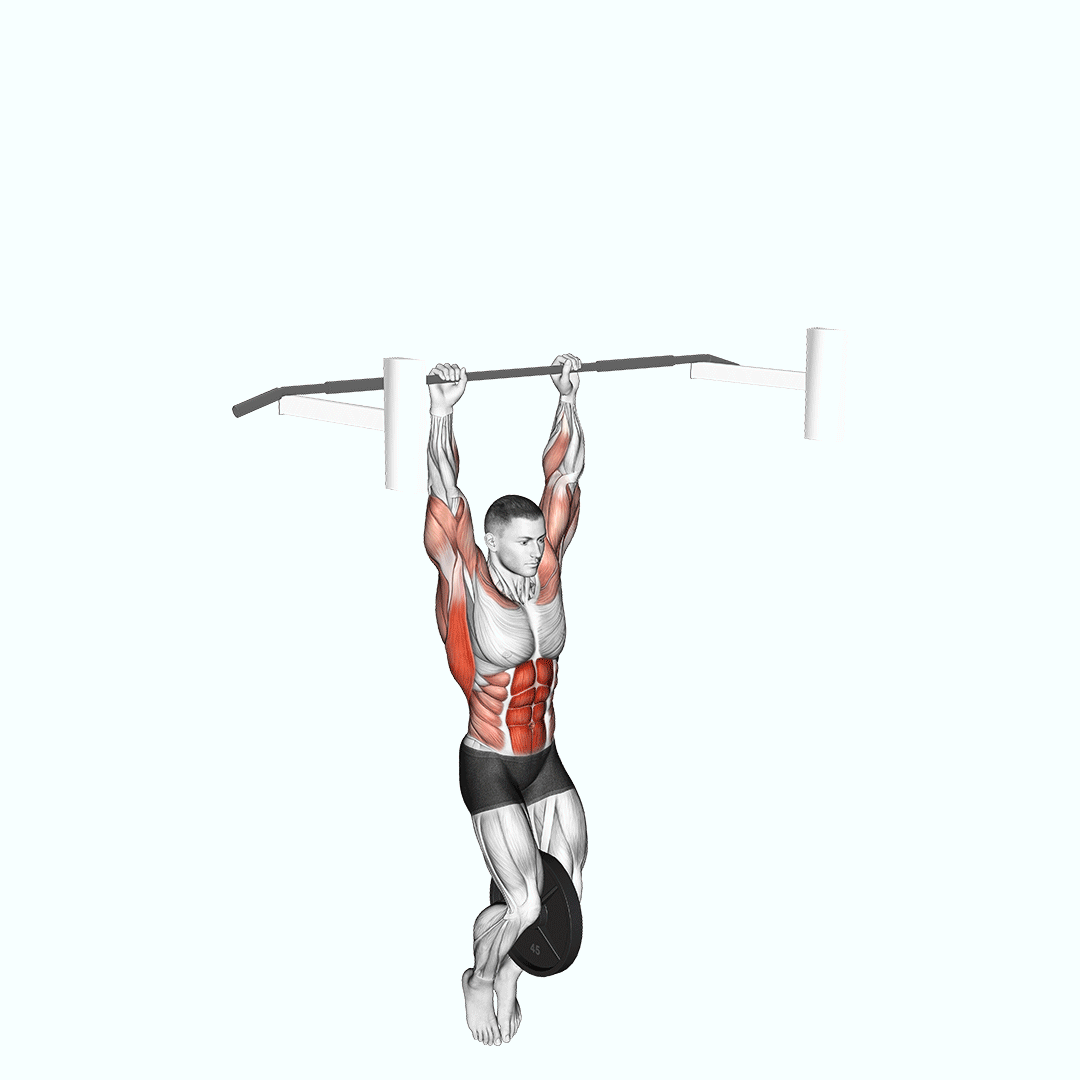 Weighted Muscle Up
