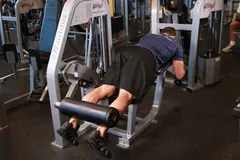 Lying Leg Curls