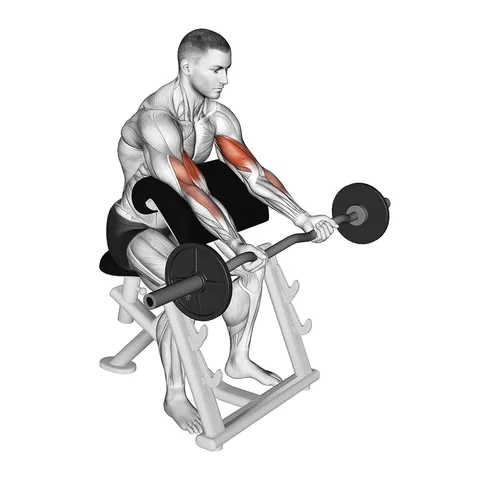 Curl pupitre barre EZ