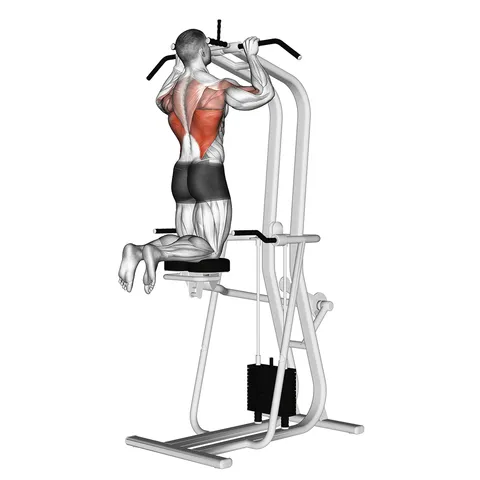 Assisted Pull Up (kneeling)