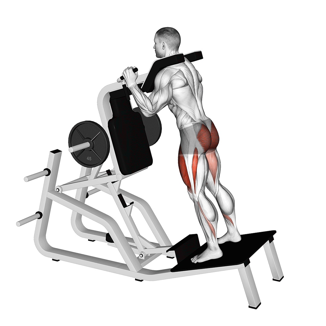 Hack squat vertical inversé
