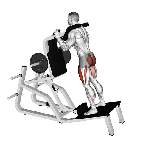 Hack squat vertical inversé