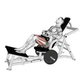 Machine à hip thrust
