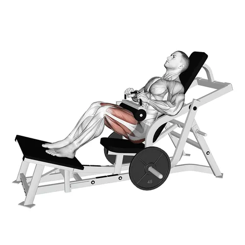 Hip Thrust Machine