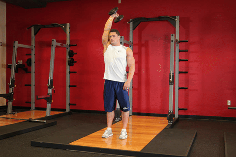 Extension triceps haltère un bras debout