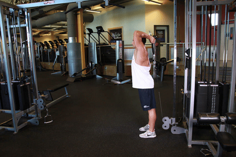 Extension triceps au-dessus de la tête à la poulie avec corde