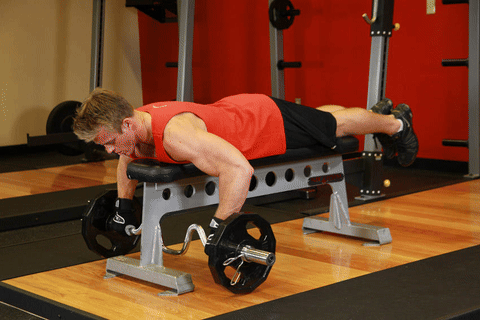 Rowing barre cambré allongé