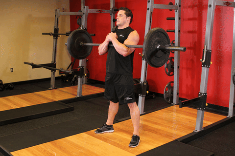 Squats Zercher