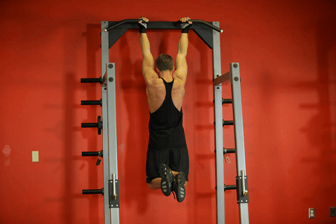 Traction crunch gorille