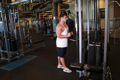 Extension triceps poulie haute à la corde