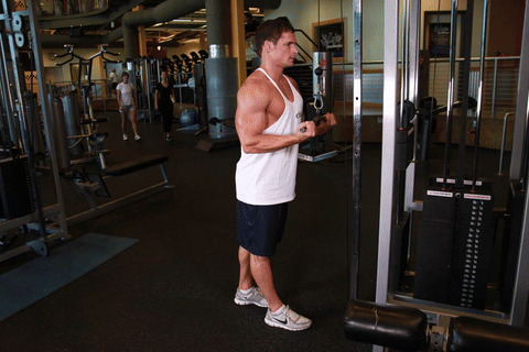 Extension triceps poulie prise supination