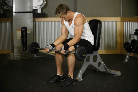 Curl poignets barre supination assis