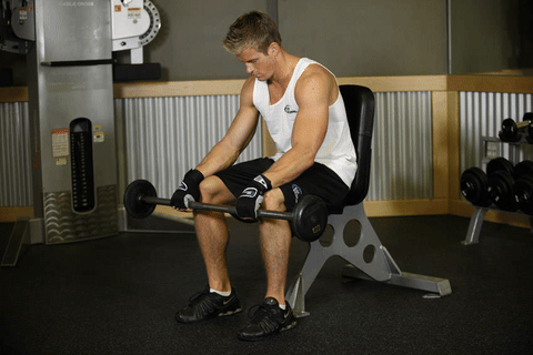 Curl poignets barre pronation assis