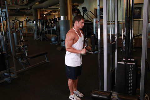 Extension triceps poulie haute barre V