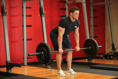 Rowing barre buste penché