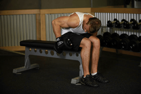 Extension triceps haltère un bras assis penché
