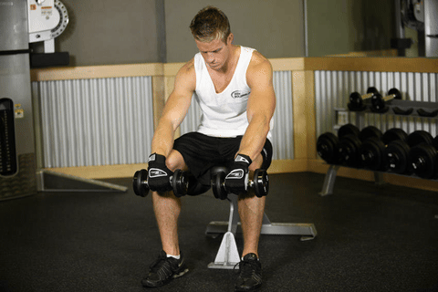 Curl poignets haltères pronation assis
