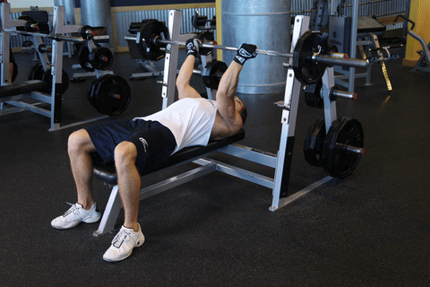 Développé couché triceps inversé