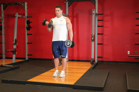 Curl biceps alterné aux haltères